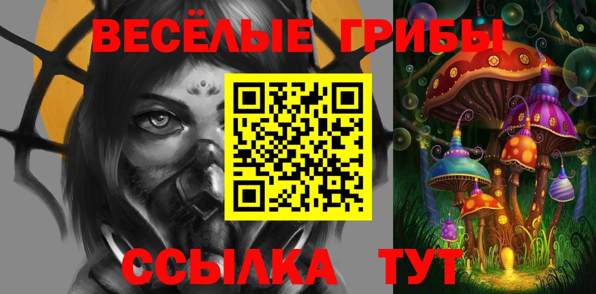 Псилоцибиновые грибы GOLDEN TEACHER  Галлюциногенные грибы Cubensis  Вход с VPN  Ступино 